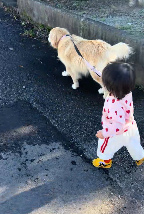 女の子とベルちゃんのお散歩