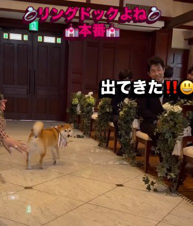 バージンロードを横切って…