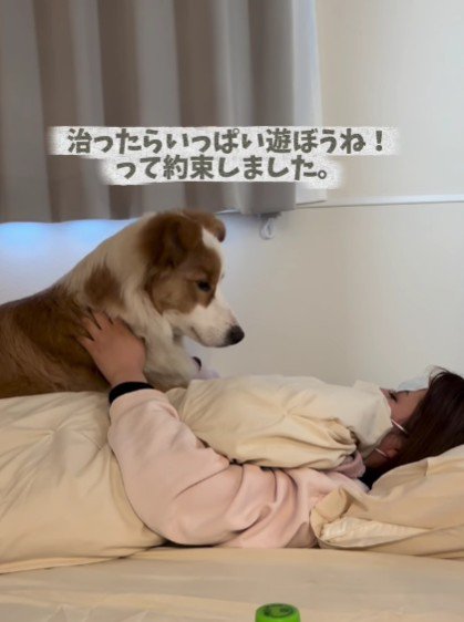 「今はやすんでね」