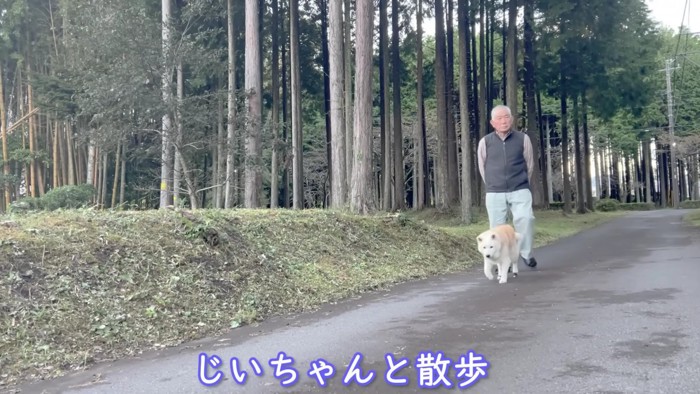 おじいちゃんとお散歩