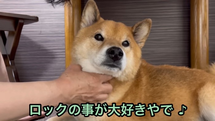 愛を伝えながらナデナデ…