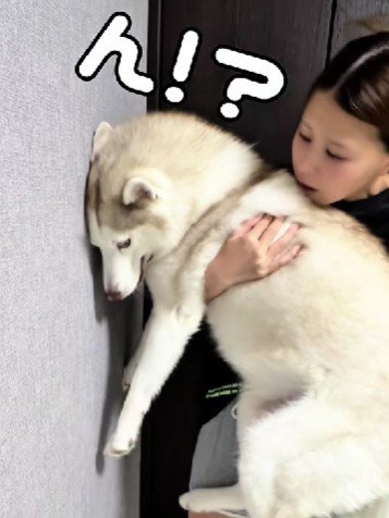 ムギュ…