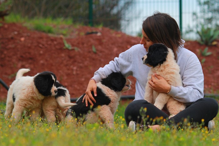 4匹の子犬と女性