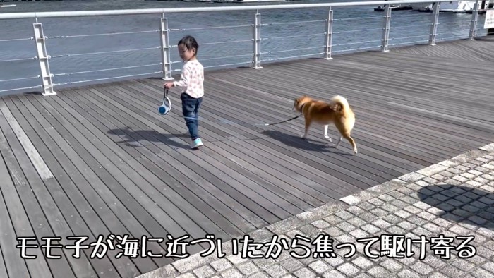 あ！モモ子ちゃんが海の近くに！