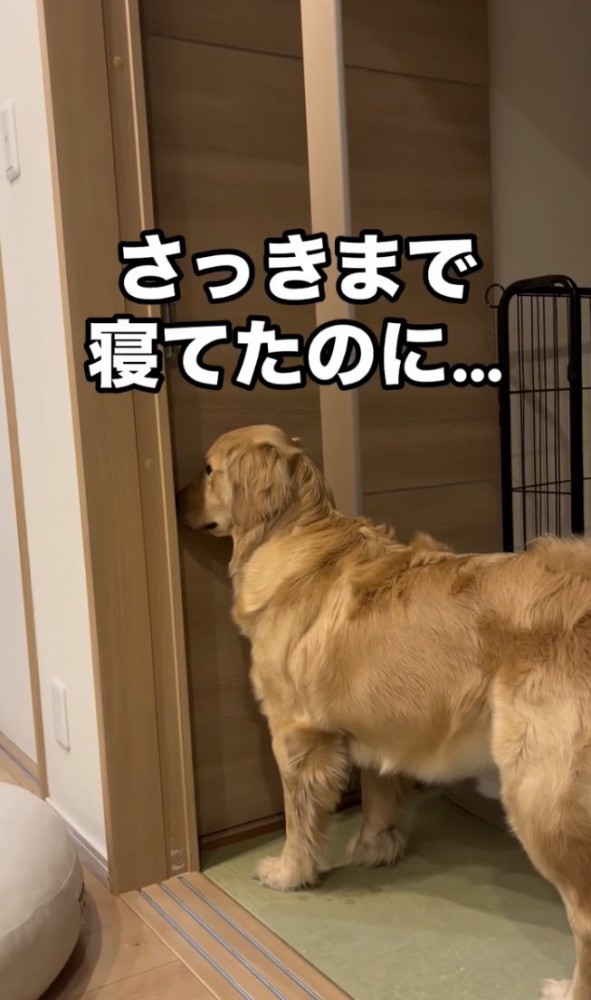 扉との距離ゼロ