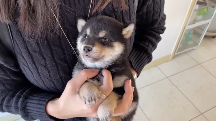 女性に抱っこされる子犬