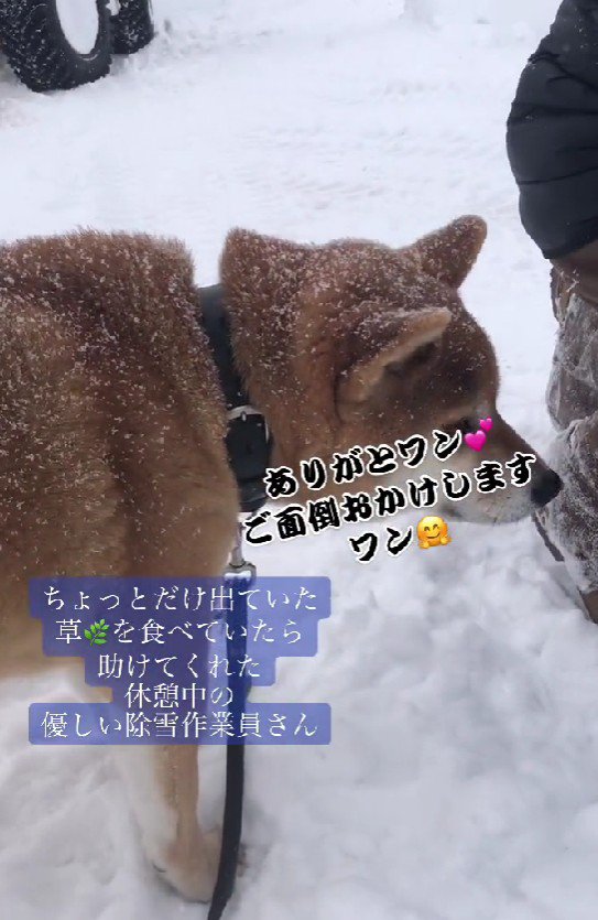 わくわくの朔ちゃん