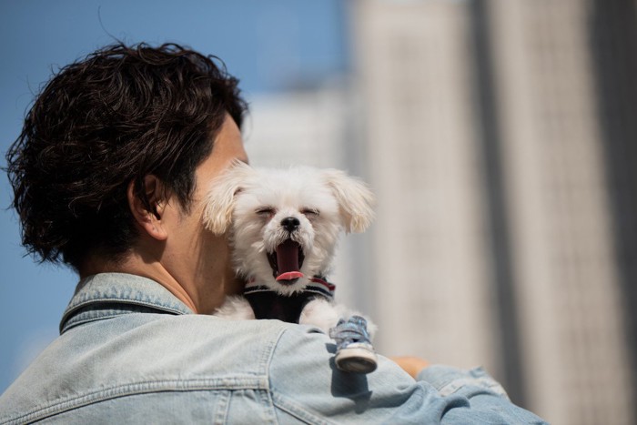 抱っこされてあくびする犬