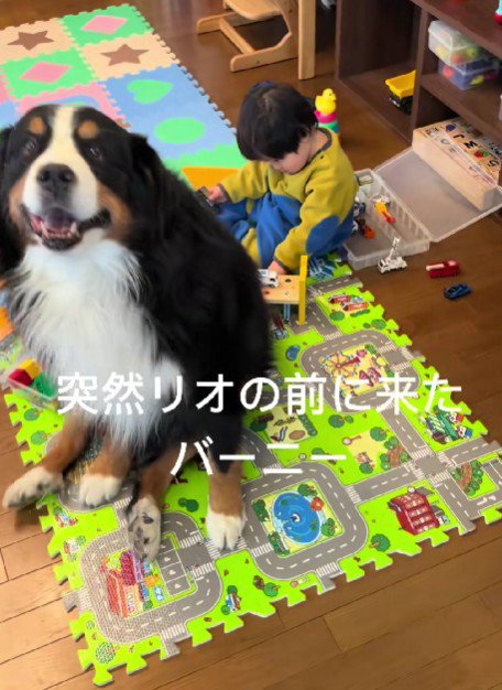 バーニーちゃんが乱入！！