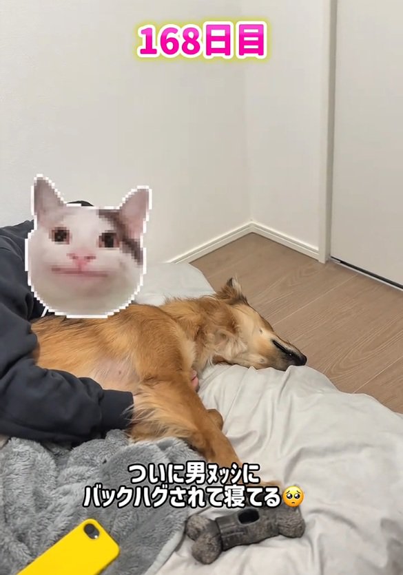 パパと寝るラッキーくん
