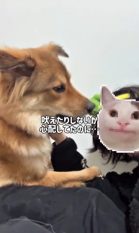 ママさん旅行中のラッキーくん7