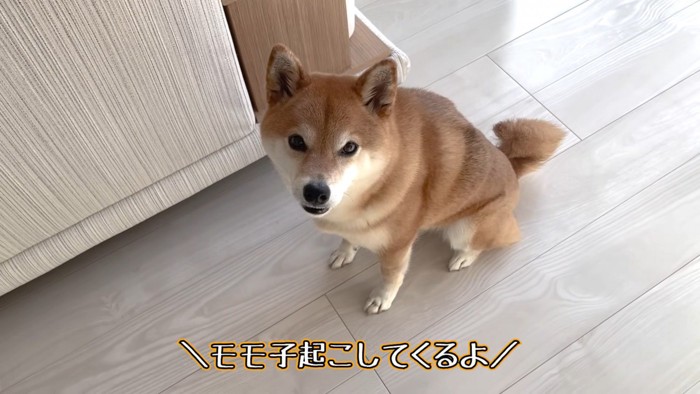 女の子を起こしてくると伝えたら…