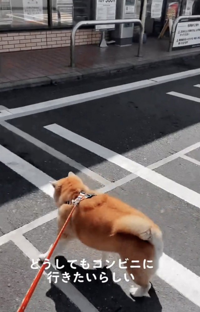 「この匂いは…！」