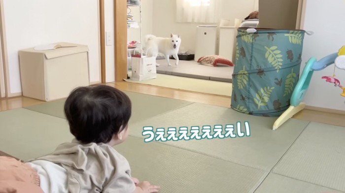 「！！」