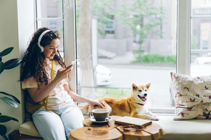 カフェで飼い主といっしょにくつろぐ柴犬