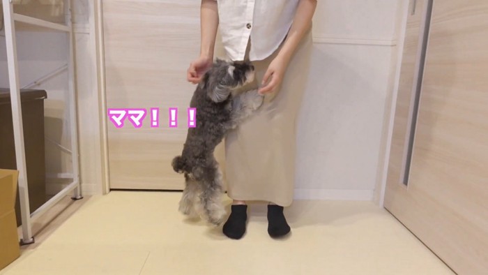 熱烈大歓迎♪