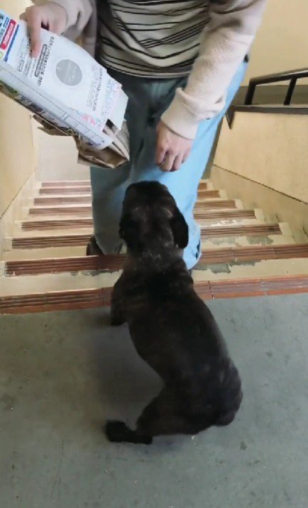 「パパ、おかえり！！」