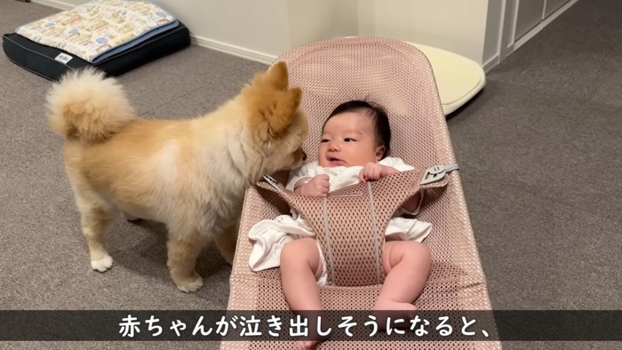 「どうしたの?大丈夫?」