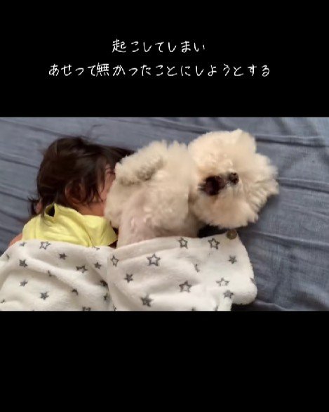 子供とお昼寝