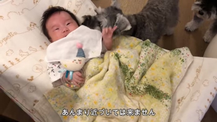 遠くから見守るジジちゃん