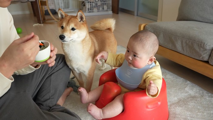 「ぼくも食べたい…」