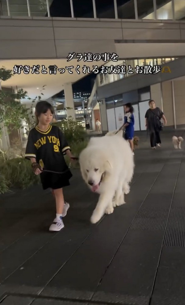 上手にお散歩できるかな？