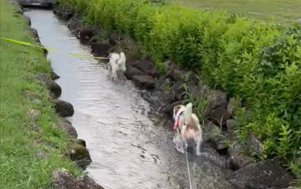 水遊び