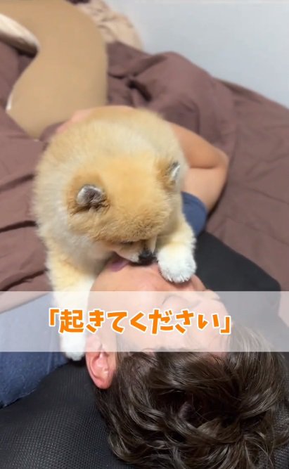 パパの口を舐めるこっちゃん3