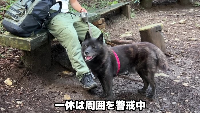 休憩中も警戒態勢