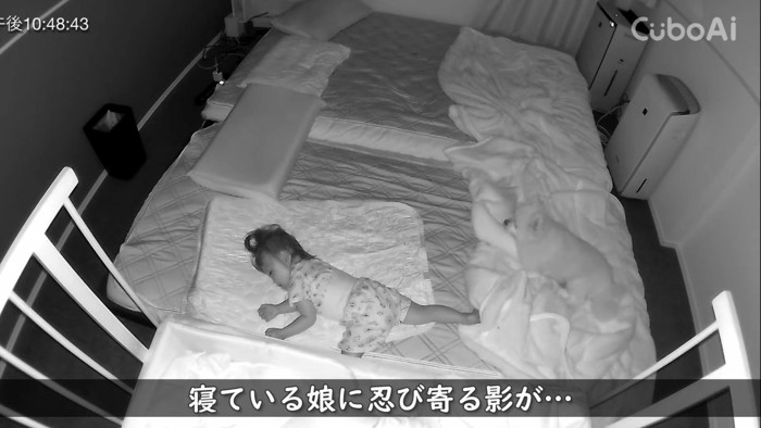 ポメくんがやってきた！！