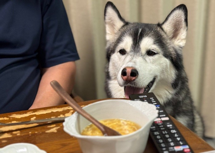 食事中もお行儀よく♪