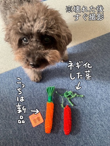 エマちゃん