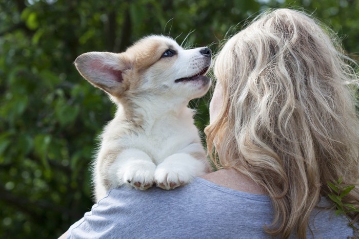 髪の長い女性に抱っこされる子犬