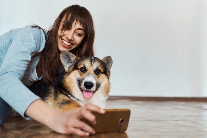 自撮りをするコーギーと女性