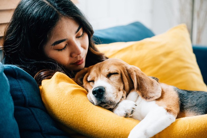 女性の腕の中で眠る犬