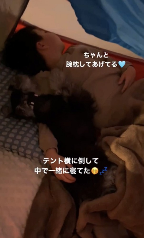 寝ている子供と犬