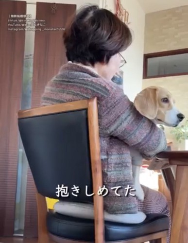 抱きしめられる犬
