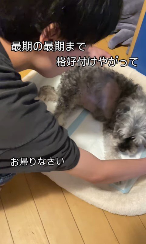 ゼウスくんの最期の強がり