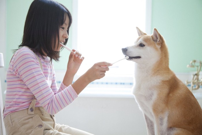 自分の歯磨きと犬の歯磨きをしている飼い主