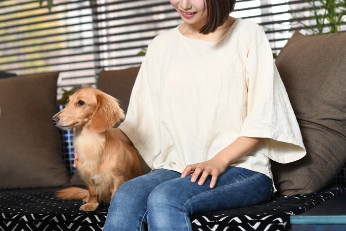 隣に座る犬を撫でる女性
