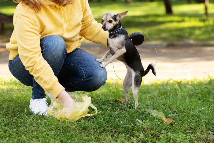 排便を終えた犬、後始末をする人