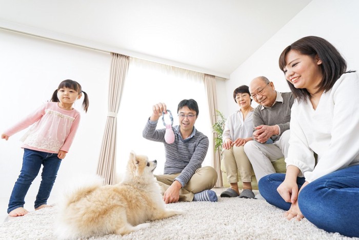 犬と高齢者と家族