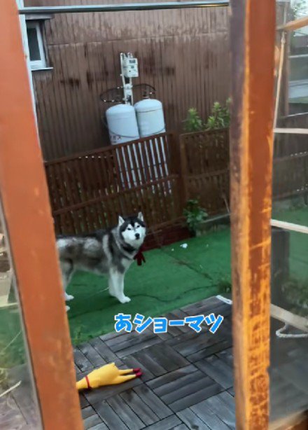 雨の中をのんびり散策
