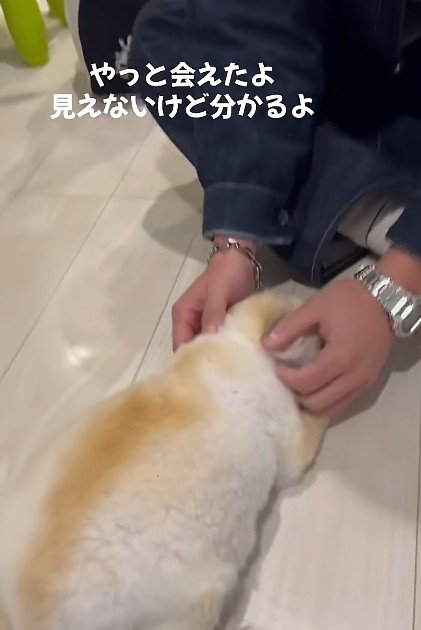 「会えてよかった」