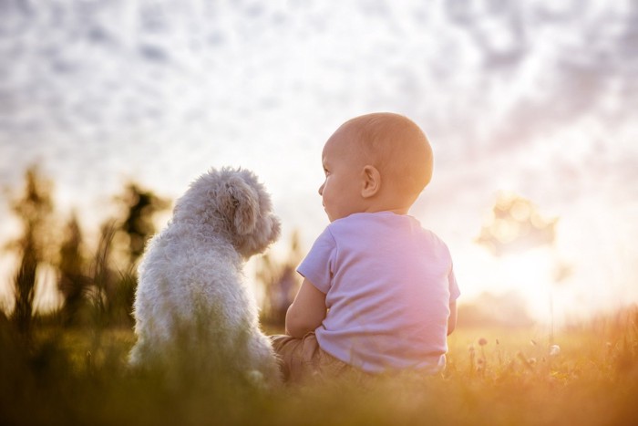 子供によりそう犬