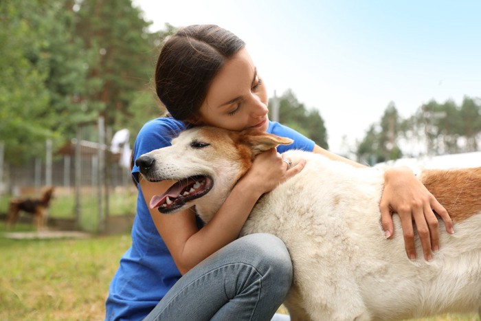 白茶の犬、抱きしめる