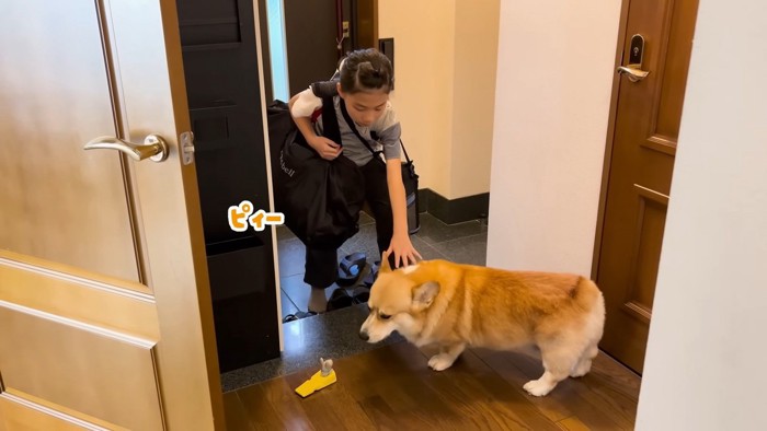 しばらくのお別れです