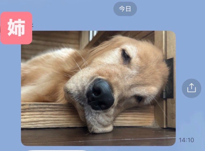 あまりにも無防備…