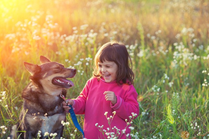 犬と子供 