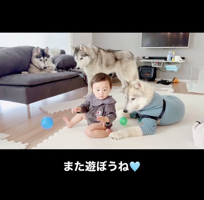 ほっこりしちゃいます
